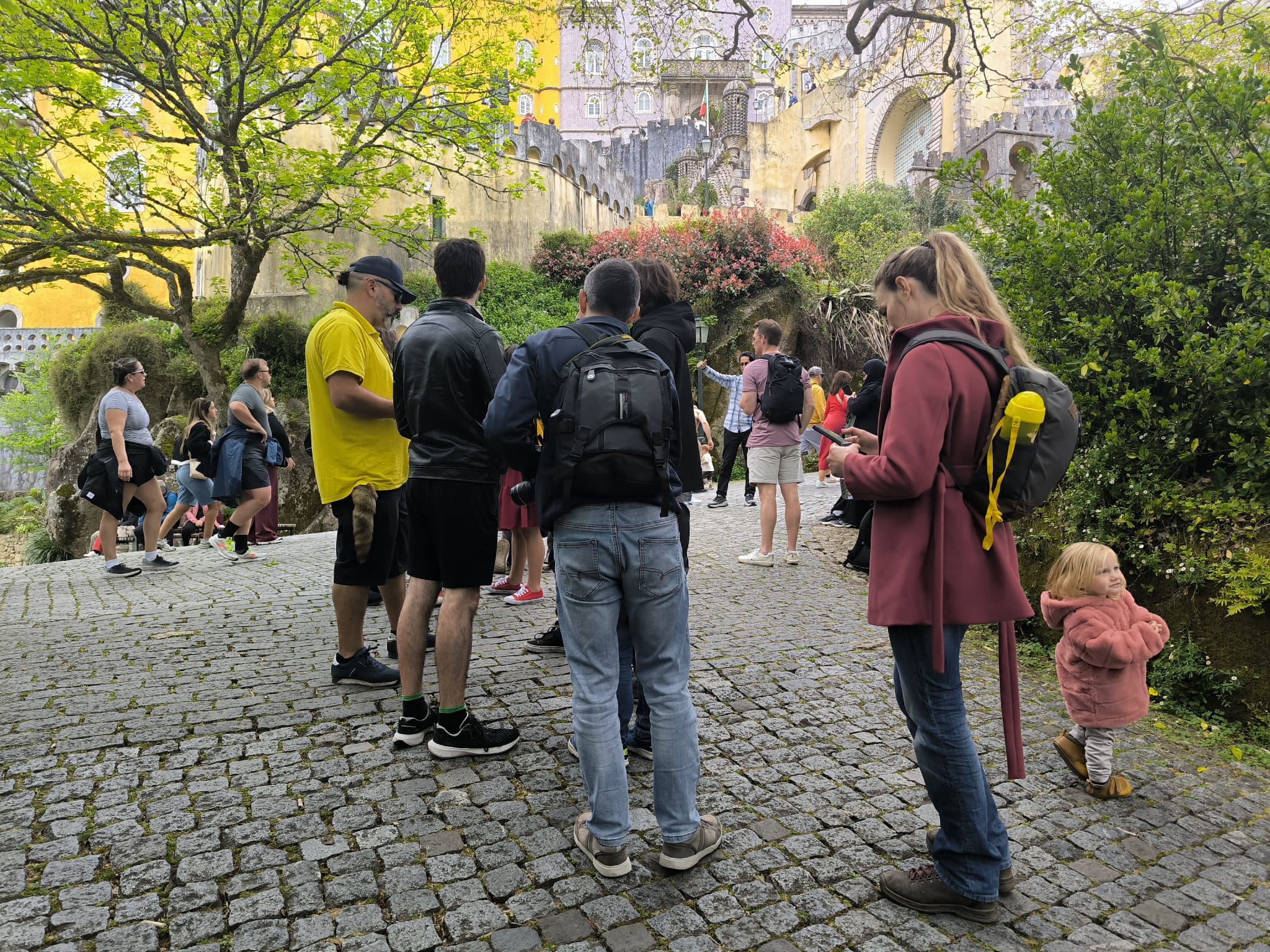 Sintra full day experience - 8h PRIVATE tour